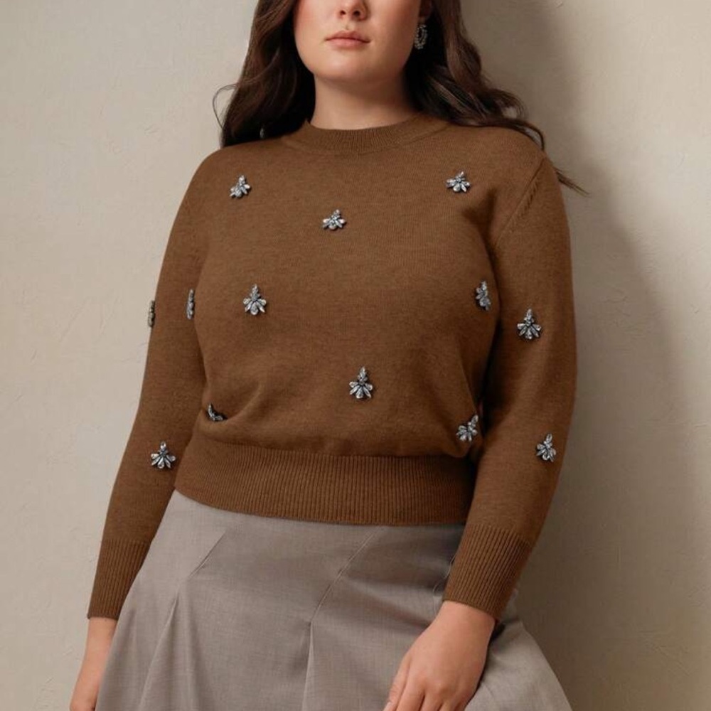 🤎 PLUS Embellished Sweater 🤎 - Picture 6 of 6